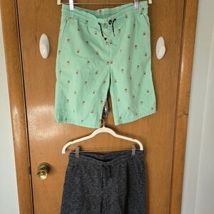 Arizona Jean Company Green Patterned Shorts
